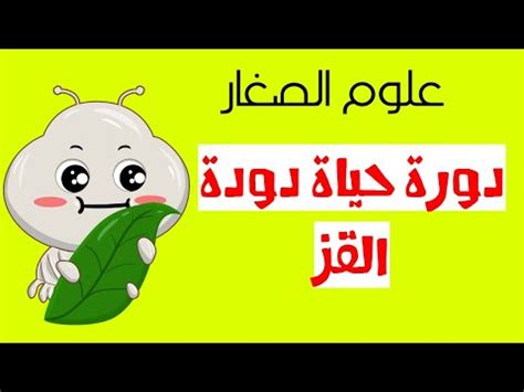 قصصص قصيره للاطفال عن دودة القز pdf